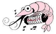 musicshrimp.gif