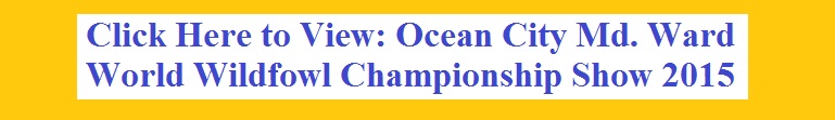 oceancitymdwardworlswildfowlchampionship-show-2015.jpg