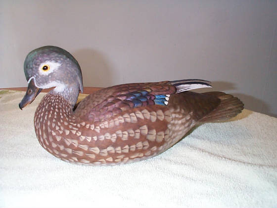 henwoodduck.jpg