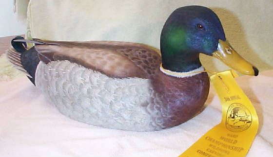 mallarddrake1.jpg