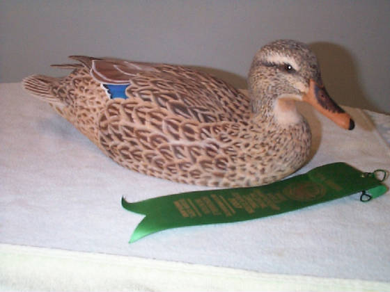 mallardhen.jpg