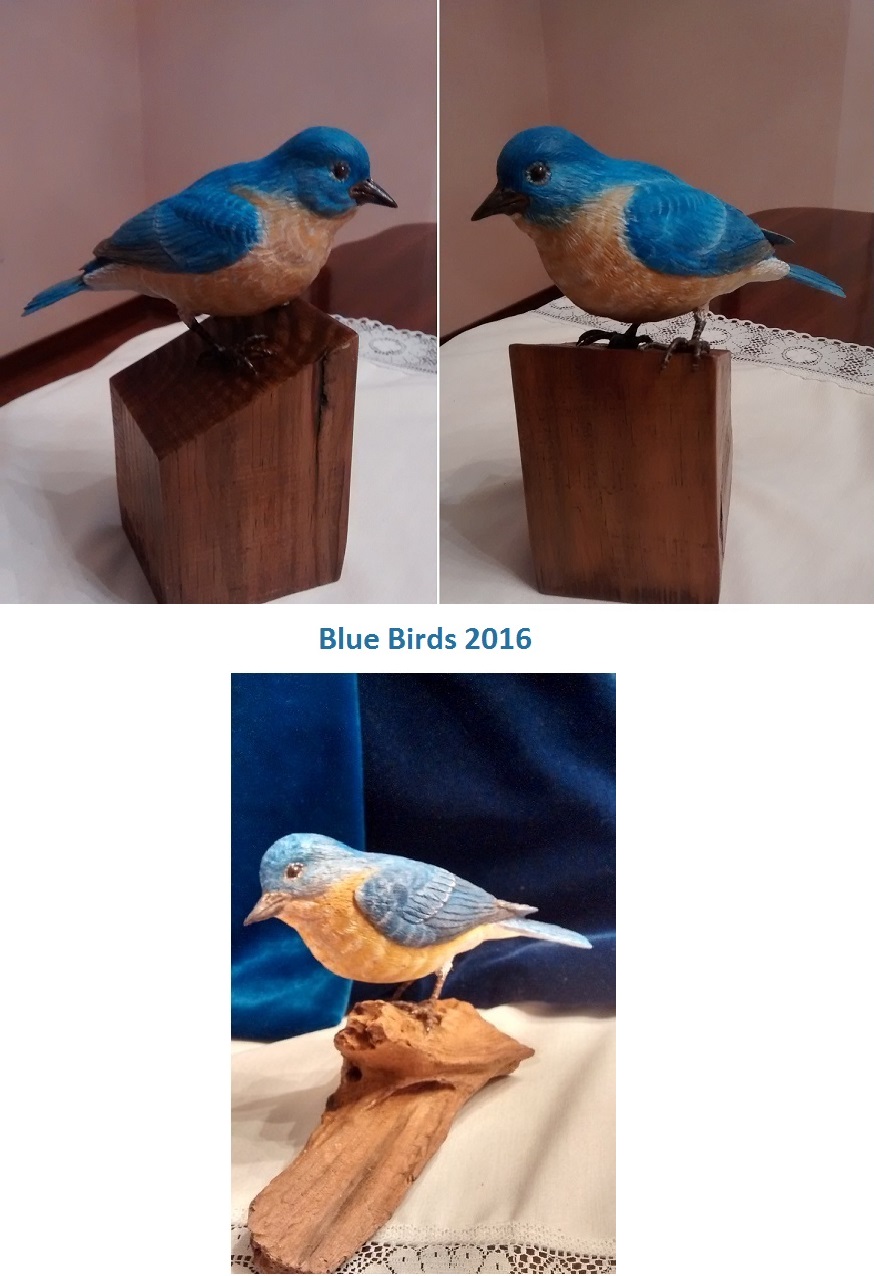 bluebirds.jpg