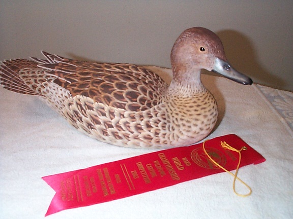 pintailhen.jpg