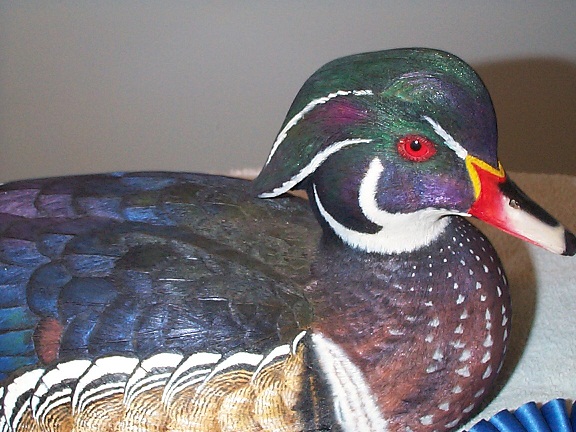 woodduckdrake1.jpg